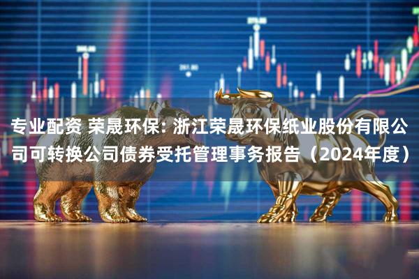 专业配资 荣晟环保: 浙江荣晟环保纸业股份有限公司可转换公司债券受托管理事务报告(2024年度)
