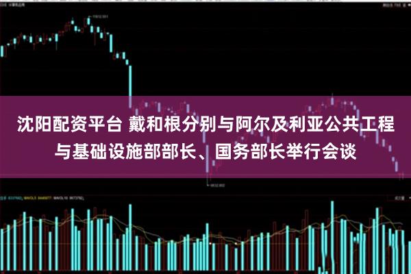 沈阳配资平台 戴和根分别与阿尔及利亚公共工程与基础设施部部长、国务部长举行会谈