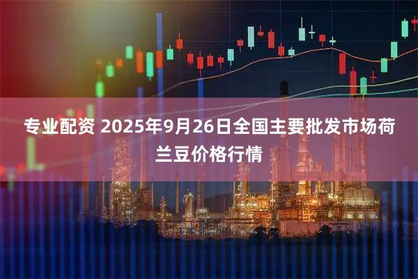 专业配资 2025年9月26日全国主要批发市场荷兰豆价格行情