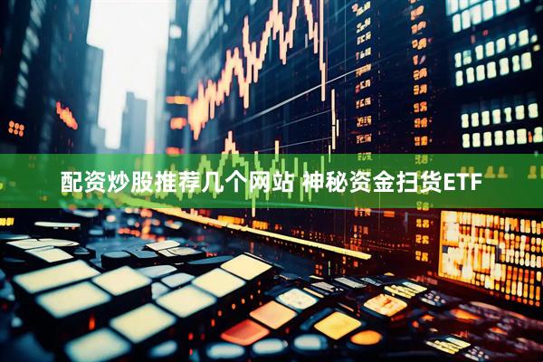 配资炒股推荐几个网站 神秘资金扫货ETF