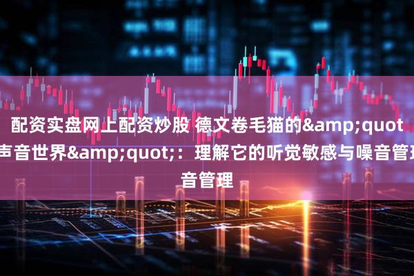配资实盘网上配资炒股 德文卷毛猫的"声音世界"：理解它的听觉敏感与噪音管理